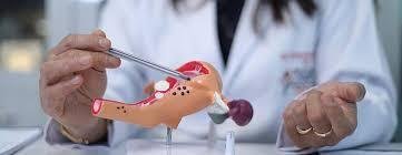 Best Gynaecology in Knowledge Park 5